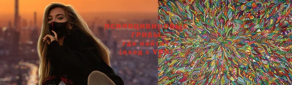 стаф Балахна